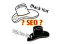 SEO黑帽与白帽：不同策略背后的差异与影响