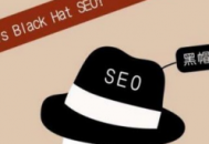 seo白帽与黑帽区别是什么_白帽seo新手怎么做