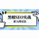 深入剖析嵌入网页黑帽SEO手段及其背后隐藏的风险与危害