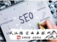 黑帽seo最稳定的方式:娄底SEO公司谈SEO网站需要诊断哪些地方