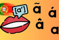 寒月黑帽seo教学：掌握独特技巧，开启网络营销新境界