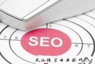 黑帽seo大神狼与:【SEO分享】：网站优化公司都有哪些手段呢