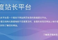 SEO工具常用的有哪些大盘点，做SEO优化不再累