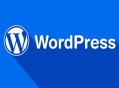 黑帽seo在线视频:若那边理WordPress CPU占用100%很高的问题！