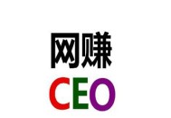 黑帽seo排名接单:网赚论坛大全， 详解什么是网赚，最新网赚项目有哪些？