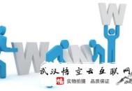 黑帽seo泛站群:SEO优化外包优化服务项目有哪些？