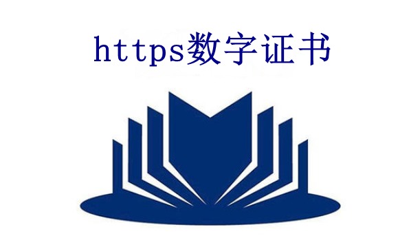 https数字证书是什么？价格是多少？_【蜘蛛池】-SEO技术-零云博客-零云博客