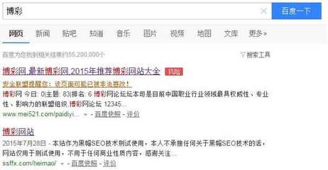 寻求黑帽SEO合作 共享网络推广新机遇与策略