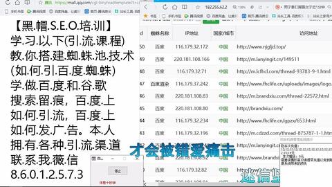 黑帽SEO引流推广的核心策略与潜在风险剖析