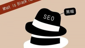 seo黑帽教学网（seo黑帽技术有哪些）