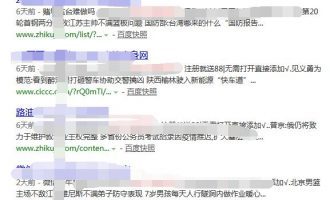 黑帽seo技术是什么