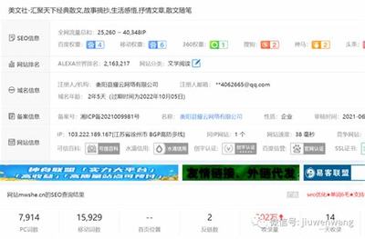 百度SEO黑帽排名揭秘：违规手法与潜在风险全解析