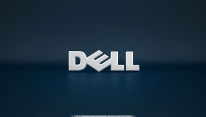 戴尔电脑照片图标