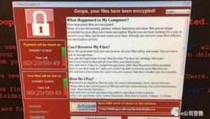 让电脑瘫痪的软件