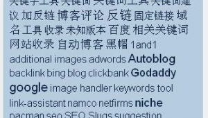 黑帽seo自学网