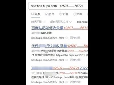 黑帽SEO软件外推：揭秘其背后的运作机制与潜在风险